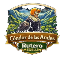 Cóndor de los Andes